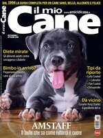 Il mio Cane